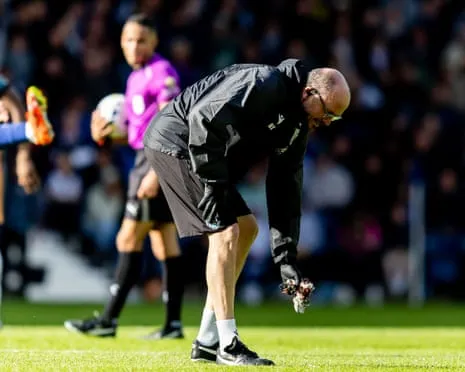 I have Observed Terrible Events at Soccer Matches – But The Thing That Fell on the Pitch Last Week Was Truly Appalling